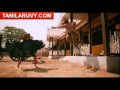 Dynamic Warrior Chunk 10 Mp4