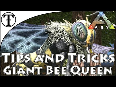 Fast Giant Bee Queen Taming Guide :: Ark : Survival Evolved Tips and Tricks