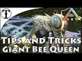 Fast Giant Bee Queen Taming Guide :: Ark : Survival Evolved Tips and Tricks