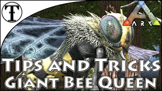 Fast Giant Bee Queen Taming Guide :: Ark : Survival Evolved Tips and Tricks