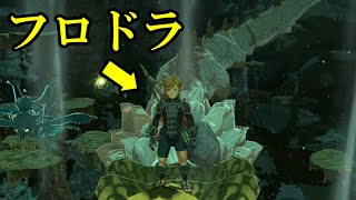 【フロドラ一周コース】龍に乗ってハイラルを優雅に旅してみた【ゼルダの伝説 ティアーズ オブ ザ キングダム】