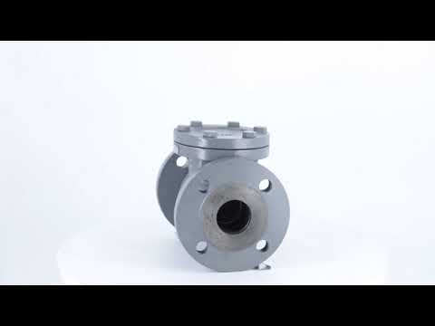 Check valve, valve size: 4.0 inch