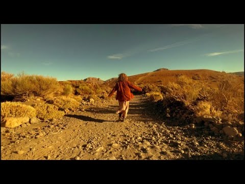 Lucie Glang- Phoenix (Official Lyric Video)