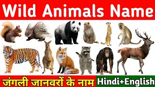 Wild animals name, जंगली जानवरों के नाम, All animals name, lion in hindi, langoor in english, animal