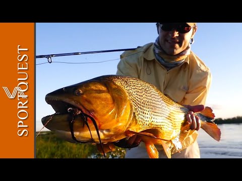 Hunting Down HUGE Golden Dorado with Mouse Flies at the Iberia Marshland of Pira Lodge