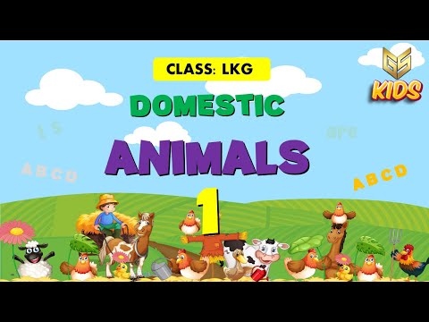Domestic Animal - 1 - LKG - EVS - Gyansrota Kids