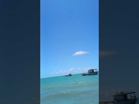 PRAIA CENTRAL DE MARAGOGI - NORDESTE 2026 #alagoas #brasil #piscinasnaturais #brazil #marazul #world