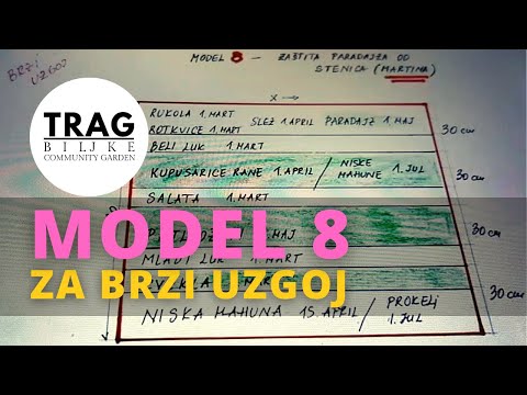ZAŠTITA PARADAJZA OD STENICA I MARTINA - MODEL 8 ZA BRZI UZGOJ (2021) [TRAG BILJKE]