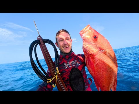 Spearfishing Wonky Holes (Monster Nannygai)