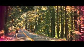 &quot;Hey Dreamer&quot; by The Trophy Fire (OFFICIAL VIDEO)