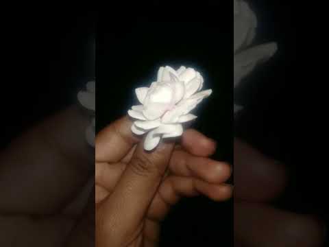 beautiful flower 🌺#manika songe#youtub short