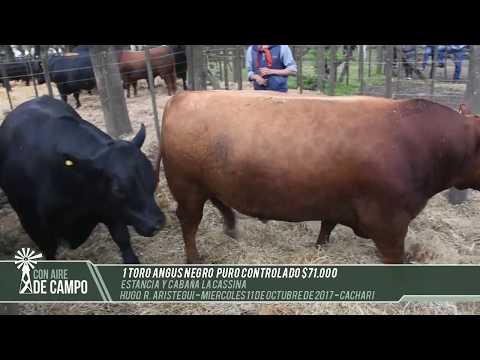 3° Venta Anual de Estancia y Cabaña La Cassina - Hugo R. Aristegui - Miércoles 11-10 -17 - Cachari