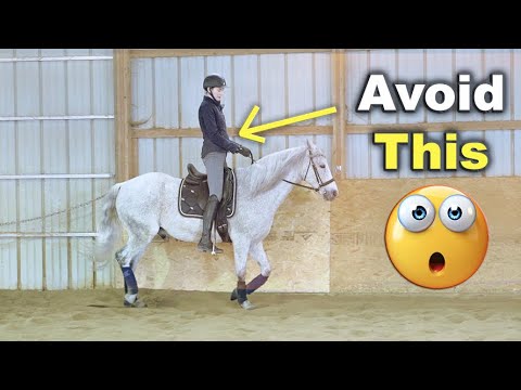 POSTING TROT FOR BEGINNERS (TIPS) 🐴