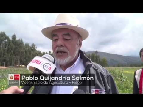 Se pone en marcha sistema de riego en el Valle del Mantaro