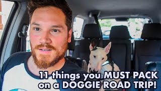 11 things you need to pack on a ROAD TRIP with your DOG!