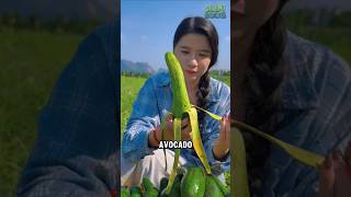 Download lagu Alpukat Panjang mp3 Download lagu Alpukat Panjang mp3