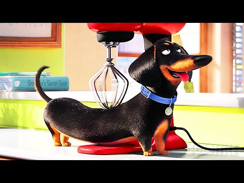 Los momentos MÁS DIVERTIDOS de las películas de La vida secreta de las mascotas ⚡ 4K