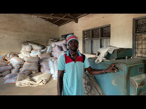 How AfroAm Built a Ghana a Rice Milling business