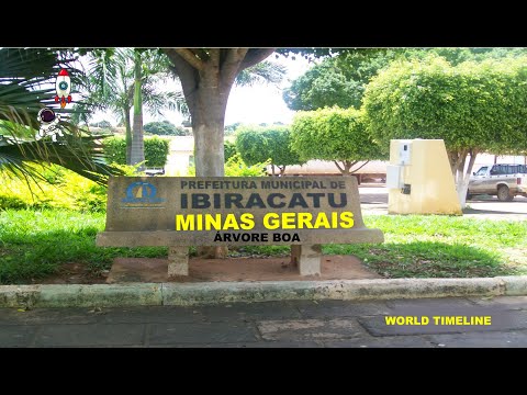 IBIRACATU / MINAS GERAIS - ÁRVORE BOA