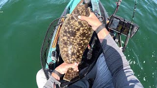 Good Fluke Action Continues