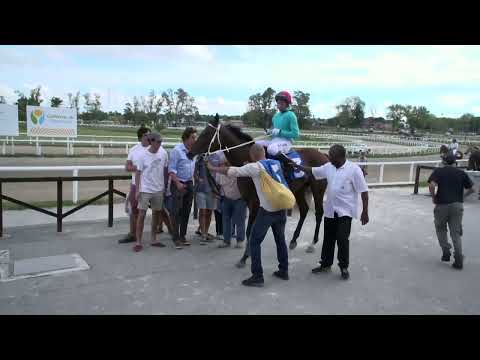 230317 c05 - ARLEQUIN J F - HIPODROMO LAS PIEDRAS - GRAN PREMIO NACIONAL