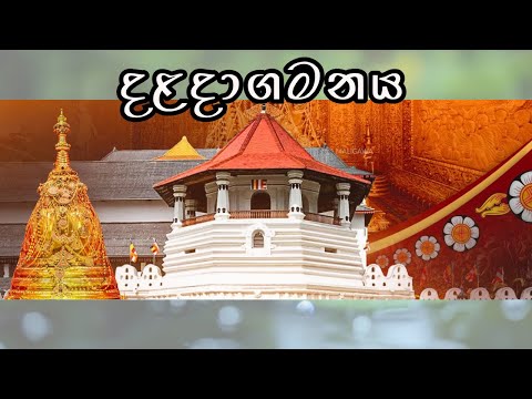 Sacred Tooth Relic — the heart of Sri Lankan heritage 💫ශ්‍රී  දන්ත ධාතූන් වහන්සේ සහ දළදා මාලිගාව