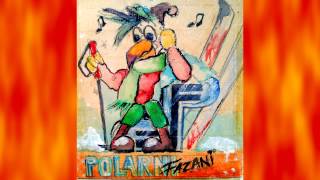 POLARNI FAZANI - Nemam ribok druЖe [unplugged/radio/05/02/95]