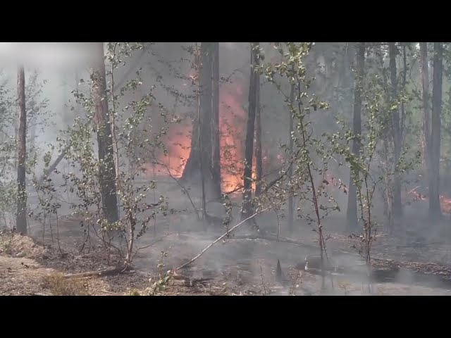 В Приангарье горит около 120 тысяч гектаров леса