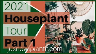 Houseplant Tour 2021 of My Updated Houseplant Collection: So Many New Plants!