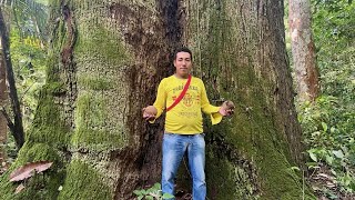Miniatura do vídeo