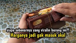 Download lagu VIRAL SIH VIRAL, TAPI HARGANYA SUDAH TIDAK MASUK AKAL‼️gak usah beli burung ini mp3 Download lagu VIRAL SIH VIRAL, TAPI HARGANYA SUDAH TIDAK MASUK AKAL‼️gak usah beli burung ini mp3