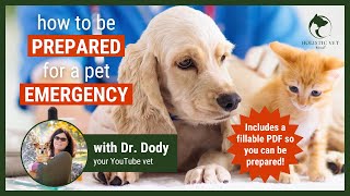 How to Handle a Pet Emergency