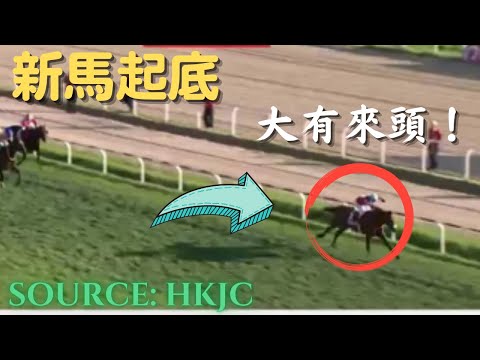 香港賽馬【新馬起底#14】| 星期日初出馬「又龍串鳳」在智利贏過打吡大賽！| 海外賽事影片提供