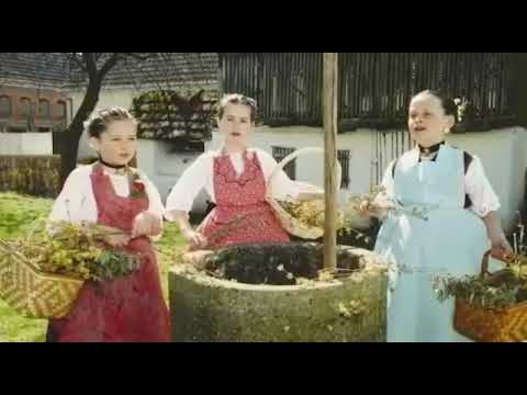 Fra Šimun Šito Ćorić