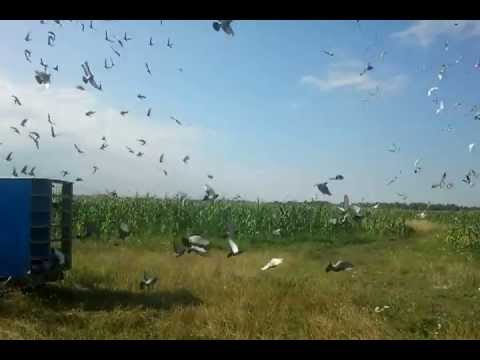 COLUMBODROM HONEST RACE - ANTRENAMENT 6 - 20 Km