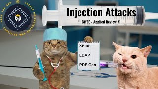 Injection Attacks | CWEE Applied Review #1