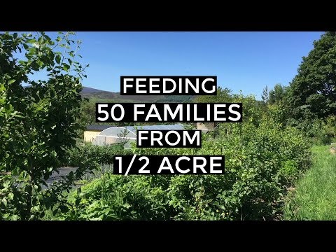 Market Garden Harvest Day at Tap O Noth Farm