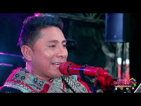 VOLVERÉ - ILLARI DEL CUSCO PRIMICIA 2025 -MOLLO PRODUCCIONES  -VIVENCIAS PERÚ FILMS