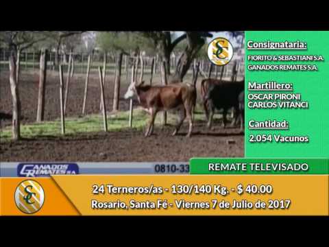 07-07-17 - Remate Televisado de Foirito & Sebastiani y Ganados Remates - Rosario