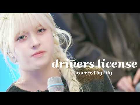 [엔믹스] drivers license - NMIXX Lily (원곡: Olivia Rodrigo)