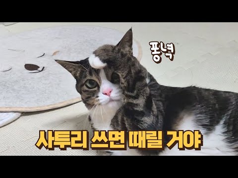 화내는 이유가 목소리였어? 깝순이가 입을 닫았더니 놀라운 일이 일어났어요!