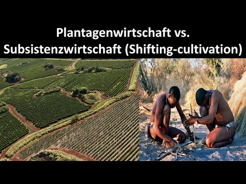 Plantation farming vs. subsistence farming [Characteristics, advantages + disadvantages] [Geograp...