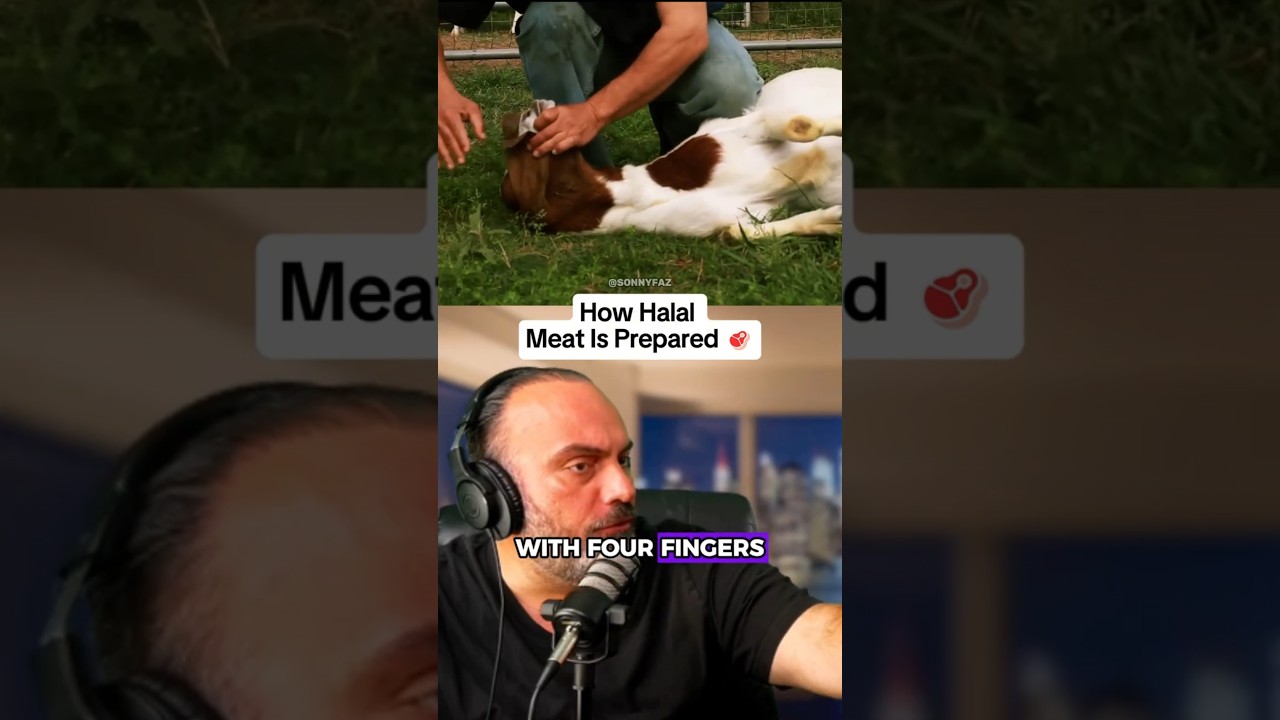 What REALLY Happens During Halal Slaughter Process
