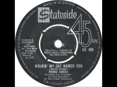 UK New Entry 1966 (104) Norma Tanega - Walkin' My Cat Named Dog