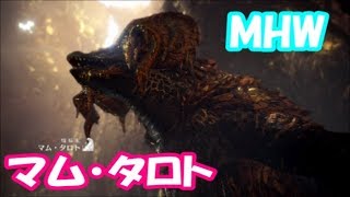 【MHW】新古龍マム・タロトにソロで挑んでみた