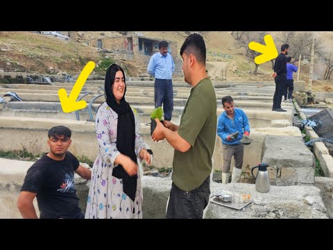 Malik and Maryam Living a Happy Nomadic LifeTogether in the Mountains