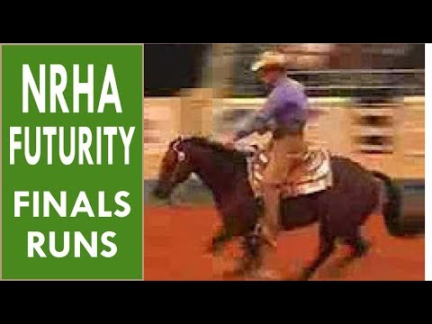 NRHA Futurity 2007 - Todd Crawford, Tanya Jenkins, Todd Sommers