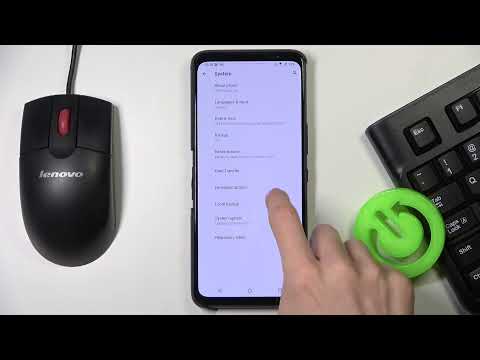 How to Enable Developer Options on Asus ROG Phone 5s