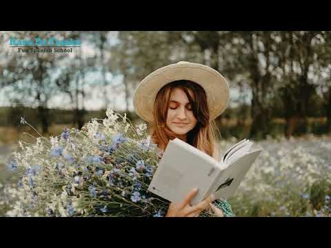 Verb of the Day: Leer - To read