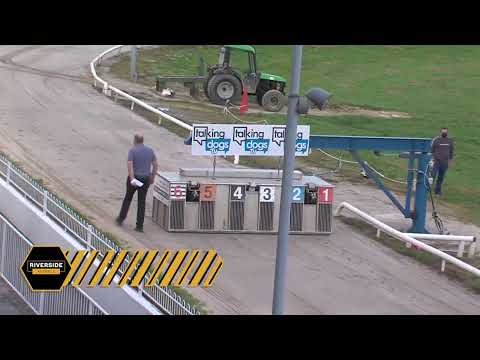 Newinn Sheedy - The Ballymac Kennels A1 525 Stake Final